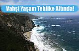 Vahşi Yaşam Tehlike Altında