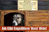 Adı Gibi Engellilere 'Dost' Oldu!