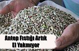 Antep Fıstığı Artık El Yakmıyor