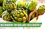 Enginarın Faydaları? (Enginar Hangi Hastalıklara İyi Gelir?)