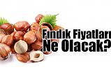 Fındık Fiyatları Ne Olacak?(2018)
