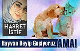 Hayvan Deyip Geçiyoruz! Ama...