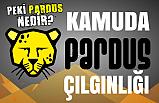 Kamuda Pardüs Çılgınlığı! (Pardüs Nedir?)
