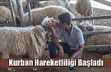 Kurban Hareketliliği Başladı