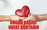 Organ Bağışı Hayat Kurtarır