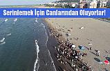 Serinlemek İçin Canlarından Oluyorlar!