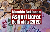 Merakla Beklenen Asgari Ücret Belli oldu (2019)