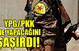 YPG/PKK ne yapacağını şaşırdı!