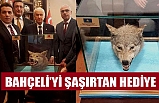 Bahçeli'yi Şaşırtan Hediye