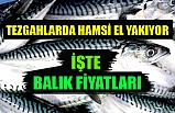 Hamsinin Kilosu 30 Liraya Çıktı