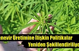 Kenevirin Üretimine İlişkin Tarımsal Politikalar Yeniden Şekillendiriliyor.