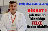 Şah Damarı Tıkanıklığı Felce Neden Olabilir!