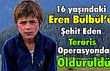 Eren Bülbül'ü şehit eden terörist öldürüldü