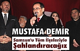 Mustafa Demir'e Asarağaç'ta sevgi seli