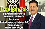 Benim Başkanım Erdoğan Tok