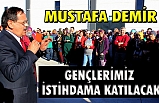Demir :