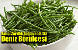 Kalıcı Zayıflık Sağlayan Bitki Deniz Börülcesi