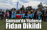 Samsun'da Yüzlerce Fidan Dikildi