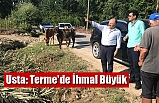 Usta: Terme'de İhmal Büyük