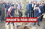 Ayvacık'ta Fidan Dikimi