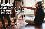 KEDİLER İÇİN DAHA İYİ BİR DÜNYA...