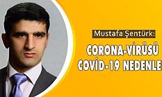 CORONA-VIRÜSÜ COVİD-19 NEDENLERİ