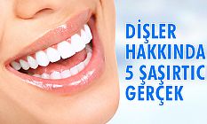 DİŞLER HAKKINDA 5 ŞAŞIRTICI GERÇEK