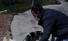 Sokak Hayvanları Unutulmadı