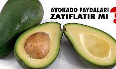 Avokado yaprağının faydaları Nelerdir