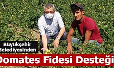 Büyükşehir Belediyesi’den Alım Garantili Destek