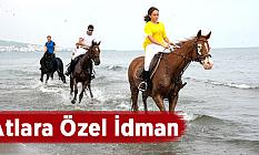 Atlara özel idman