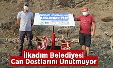 İlkadım Belediyesi Can Dostlarını Unutmuyor