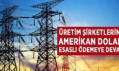 Yerli ve Milli Enerji'de, Üretim Şirketlerine Amerikan Doları Esaslı Ödemeye Devam