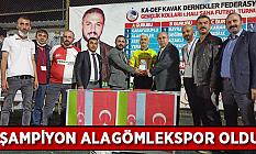 KA-DEF GENÇLİK KOLLARI 1.HALI SAHA TURNUVASINDA ŞAMPİYON ALAGÖMLEKSPOR OLDU