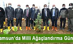 Samsun’da Milli Ağaçlandırma Günü