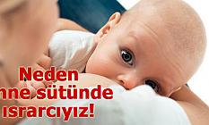 Neden anne sütünde ısrarcıyız!