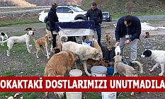 SOKAKTAKİ DOSTLARIMIZI UNUTMADILAR