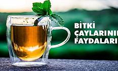 Bitki Çaylarının Faydaları Saymakla Bitmiyor
