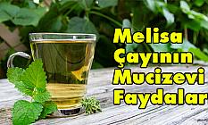 Melisa Çayının Mucizevi Faydaları
