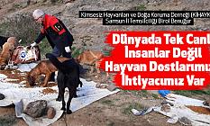 Dünyada Tek Canlı İnsanlar Değil Hayvan Dostlarımıza İhtiyacımız Var