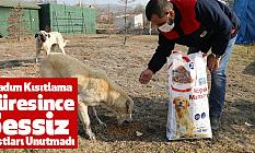 İlkadım Kısıtlama Süresince Sessiz Dostları Unutmadı