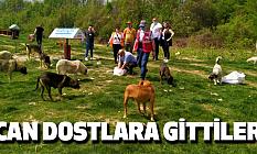 CAN DOSTLARA GİTTİLER