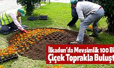 İlkadım’da Mevsimlik 100 Bin Çiçek Toprakla Buluştu