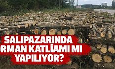 Salıpazarında Orman Katliamı mı Yapılıyor?