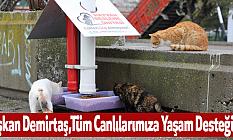 Başkan Demirtaş,Tüm Canlılarımıza Yaşam Desteğiyiz