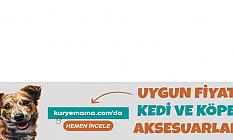 Kurutulmuş Köpek Ödülleri Kedi Kapları Online Alışverişin Adresi Kurye Mama