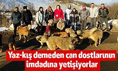 Yaz-kış demeden 'can dostları'nın imdadına yetişiyorlar