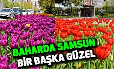 Baharda Samsun Bir Başka Güzel