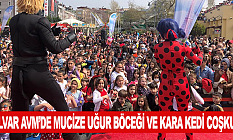 Bulvar Avm’de Mucize Uğur Böceği ve Kara Kedi Coşkusu…