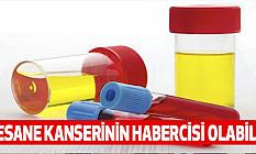 Mesane kanserinin habercisi olabilir